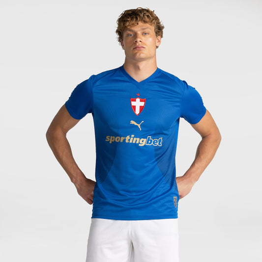 Camisa Palmeiras 26/27 Third I Torcedor