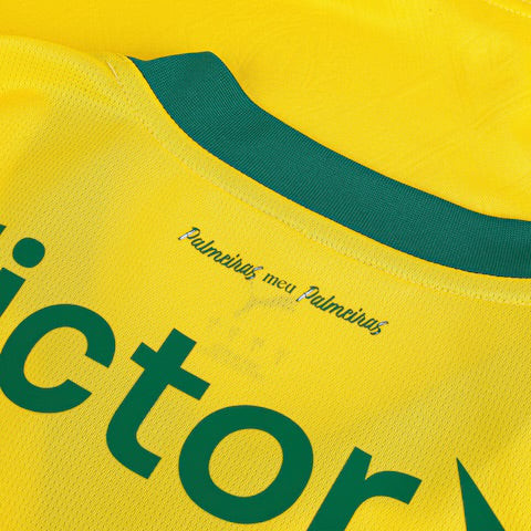 Camisa Palmeiras 25/26 Uniforme III - Modelo Torcedor